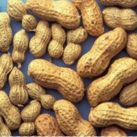 برنامه غذایی بادام زمینی