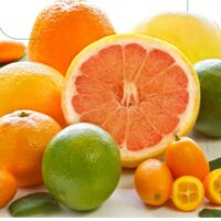 برنامه غذایی درخت مرکبات