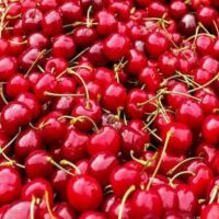 برنامه غذایی درخت گیلاس