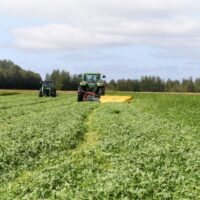 برنامه غذایی یونجه
