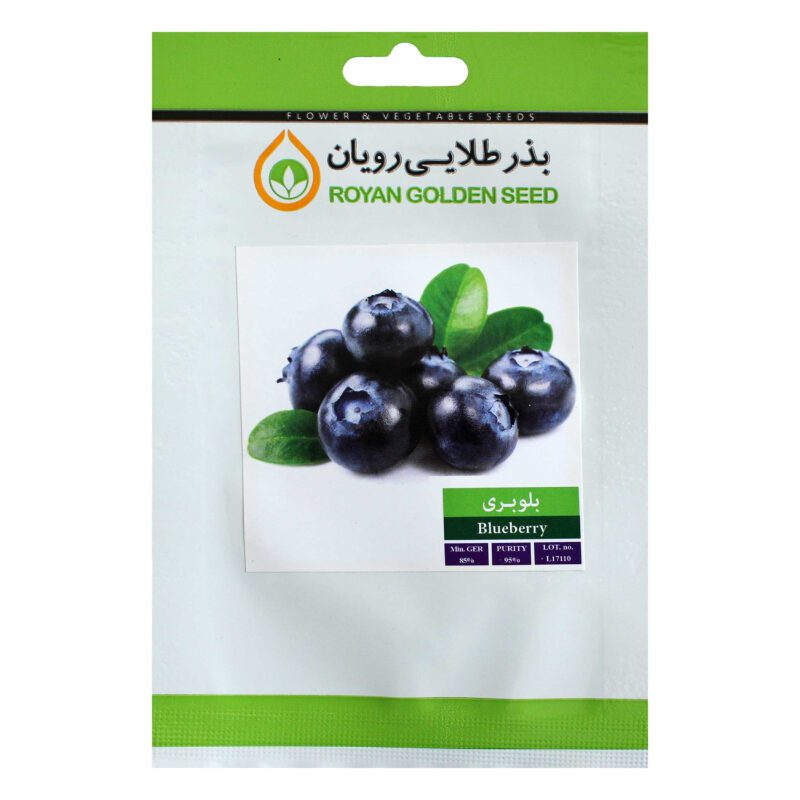 بذر میوه بلوبری بذر طلایی رویان کد BZT-131