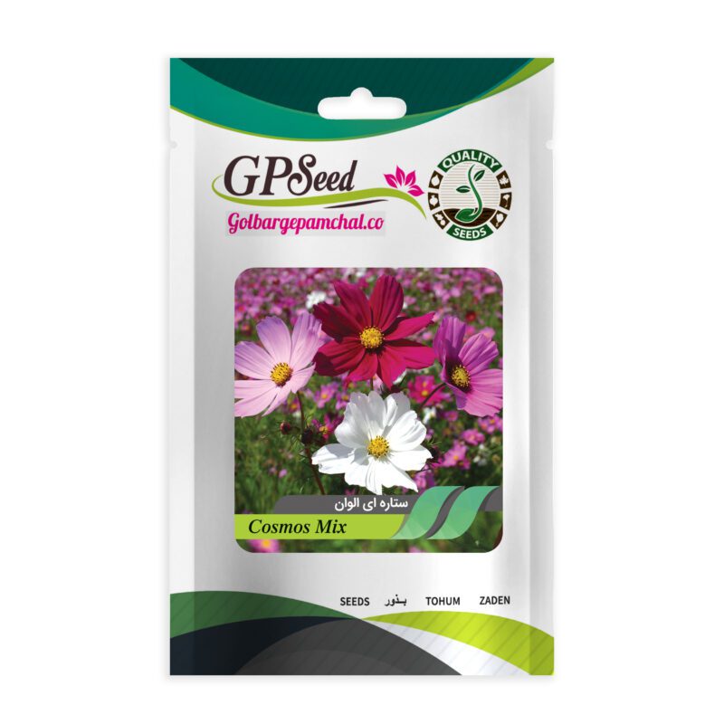 بذر گل ستاره ای پابلند پرگل الوان گلبرگ پامچال کد GPF-054