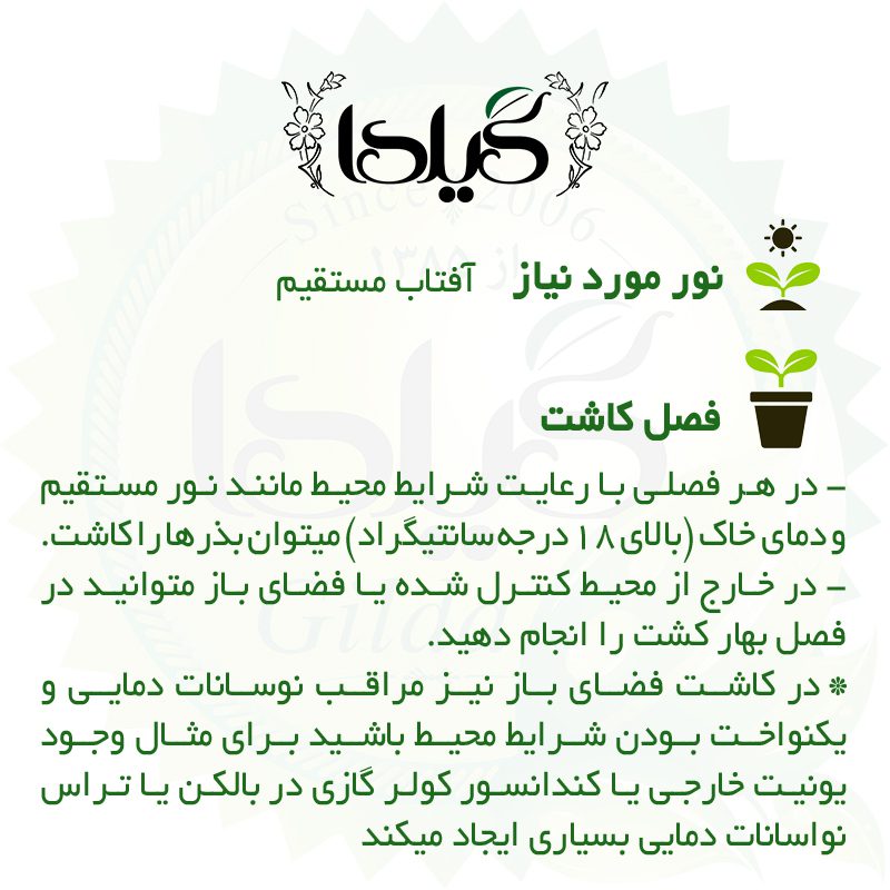 بذر چمن دایکوندرا گیلدا کد 441