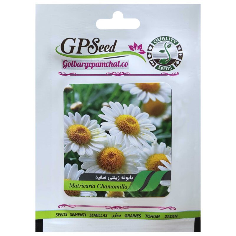 بذر گل بابونه زینتی سفید گلبرگ پامچال کد GPF-235