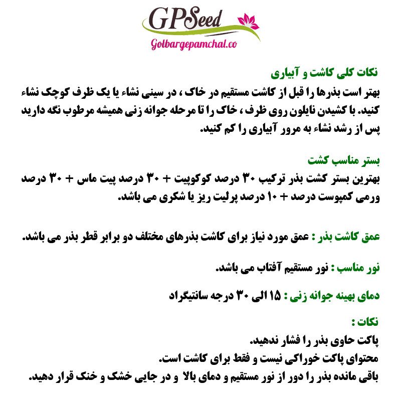 بذر فلفل دلمه ای رنگی جی پی سید مدل GP12195