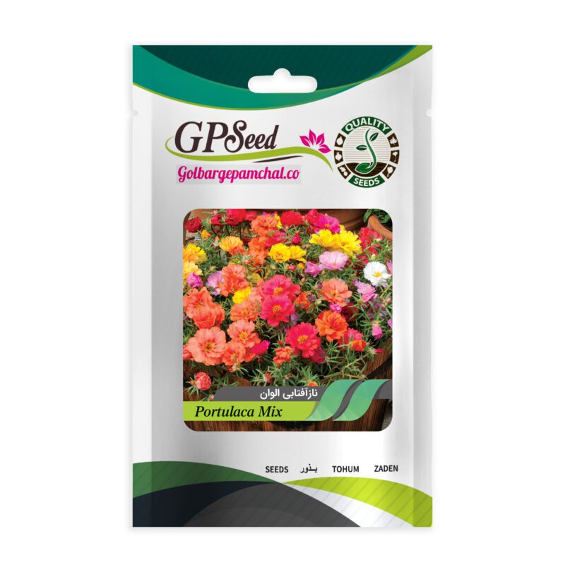 بذر گل ناز آفتابی پرفروش گلدانی گلبرگ پامچال کد G-P-GP-06 مجموعه 6 عددی