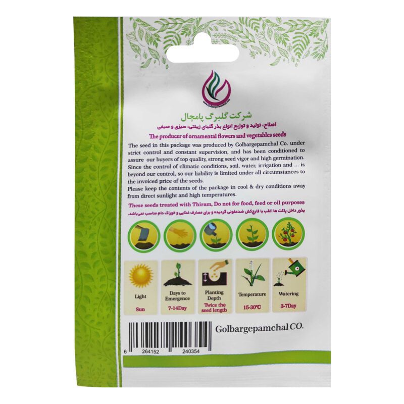 بذر گل عروس گچ دوست سفید گلبرگ پامچال کد GPF-315
